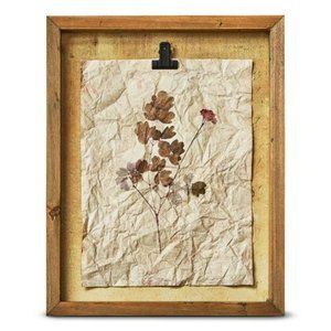 Herbarium Wildflower Shadow Box Wall Art- Pink